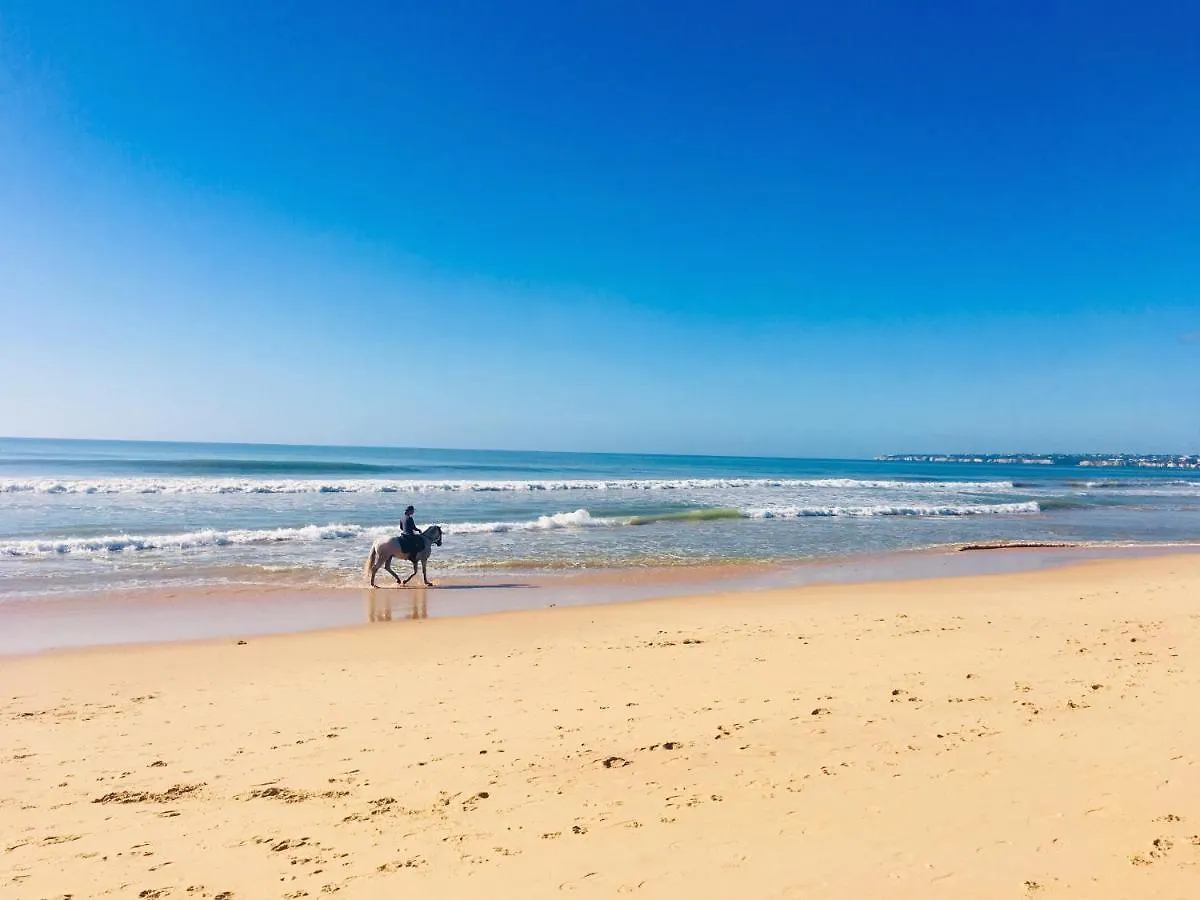 Apartment Regenbogen Properties - Salgados Vila Das Lagoas Albufeira